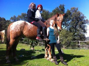 Für Anfänger und kleine Kinder stehen Ponys und ruhige Pferde zur Verfügung